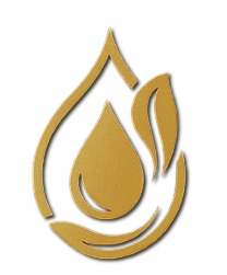 Seema Agro Oil and Foods Logo